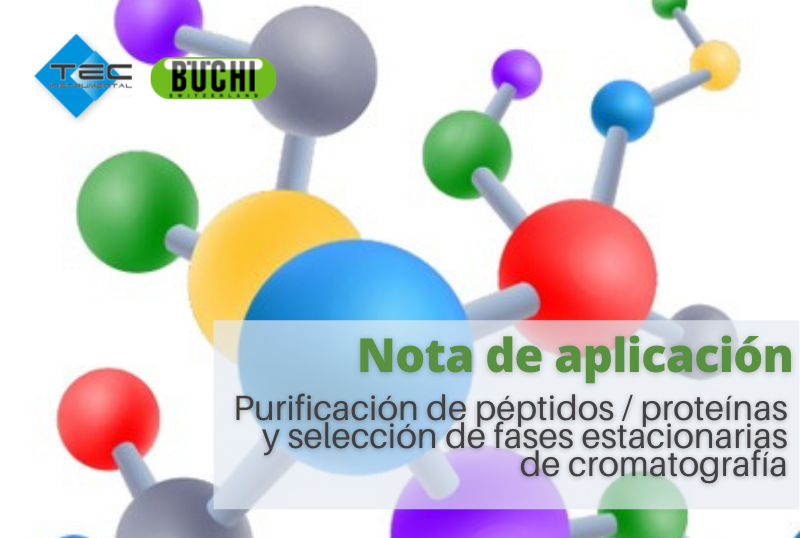 Purificación de péptidos / proteínas y selección de fases estacionarias de cromatografía