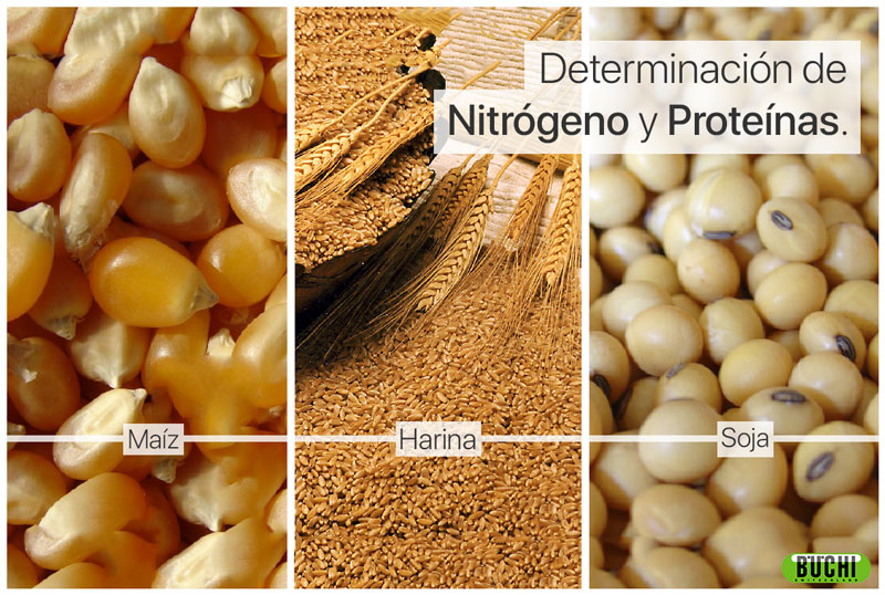 Determinación de nitrógeno y proteínas en maíz, harina y soja