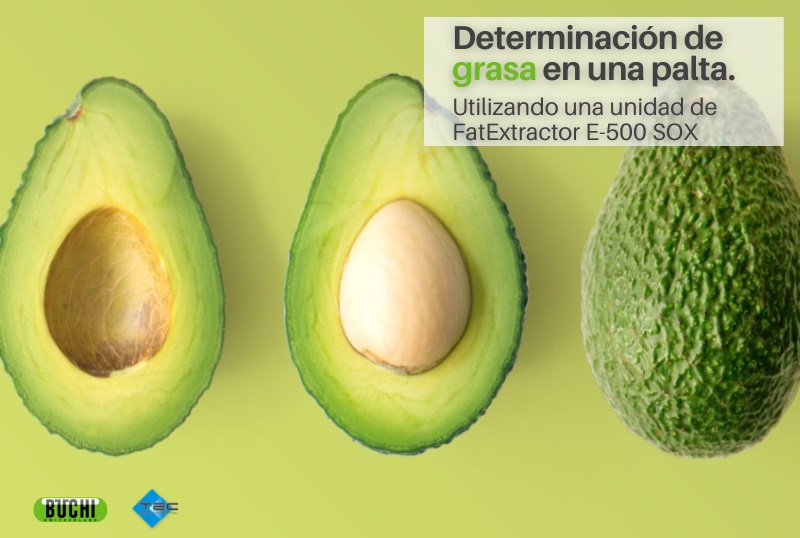 Determinación de grasa en una palta 