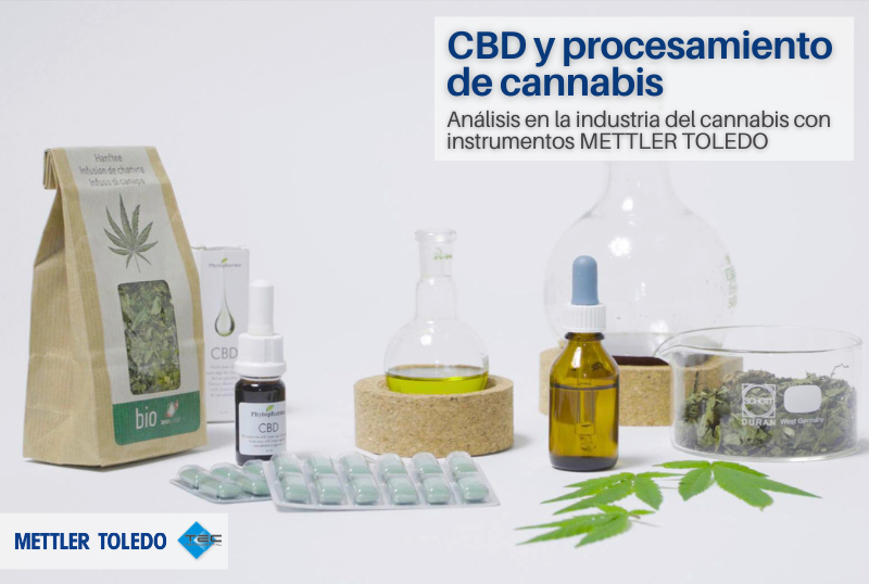 CBD y procesamiento de cannabis 