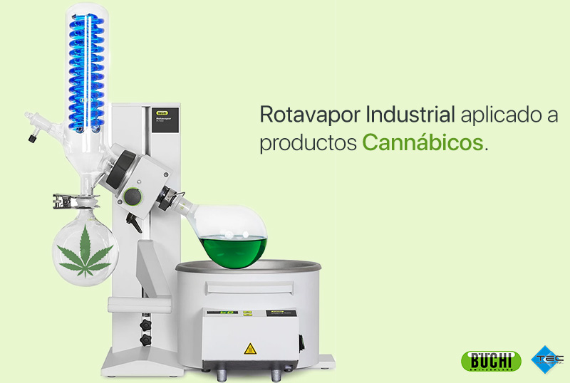 Soluciones de extracción aplicadas a productos cannábicos