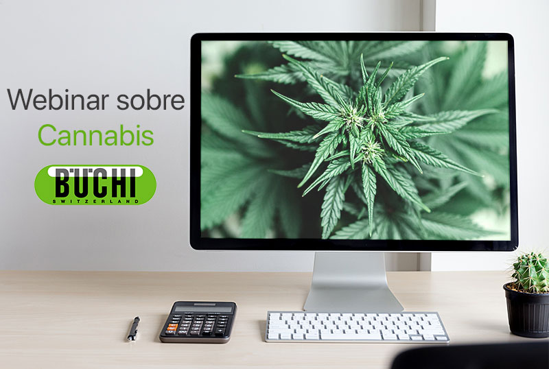 Webinar Büchi sobre Cannabis