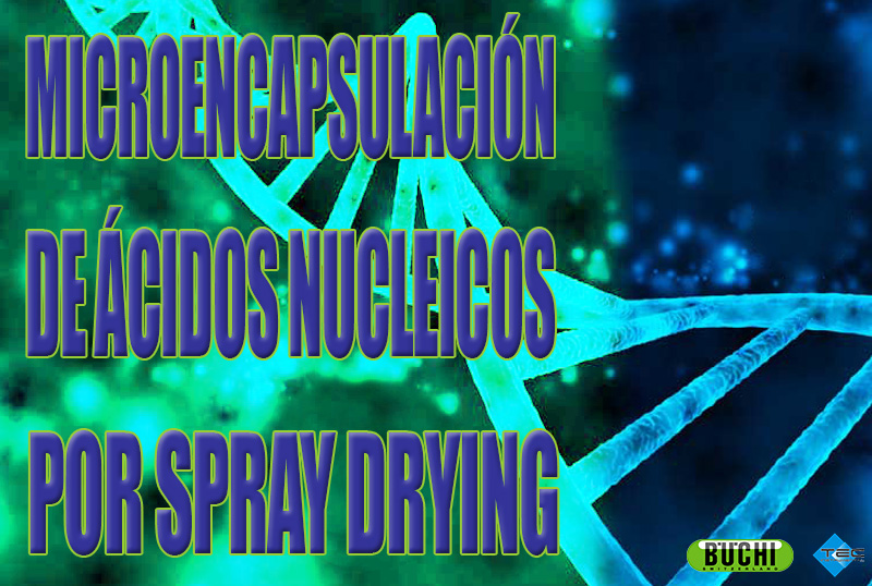 Microencapsulación de ácidos nucleicos por Spray Drying