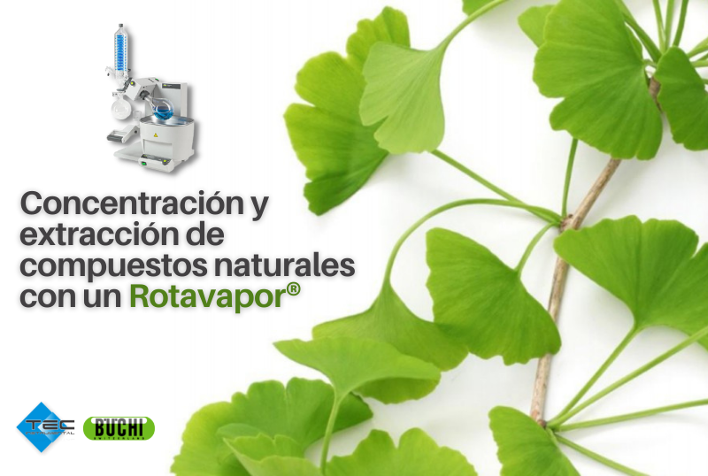 Concentración y extracción de compuestos naturales con un Rotavapor®