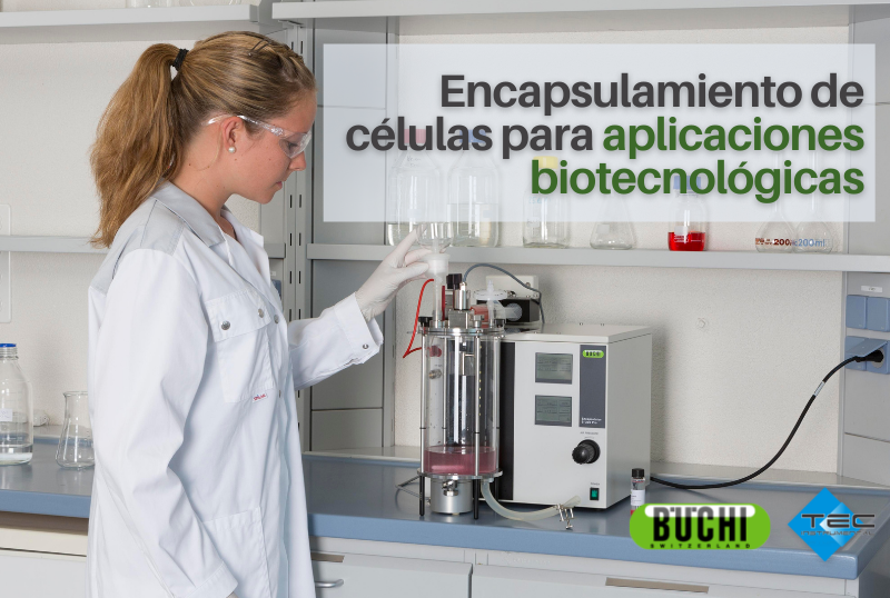 Encapsulamiento de células para aplicaciones biotecnológicas