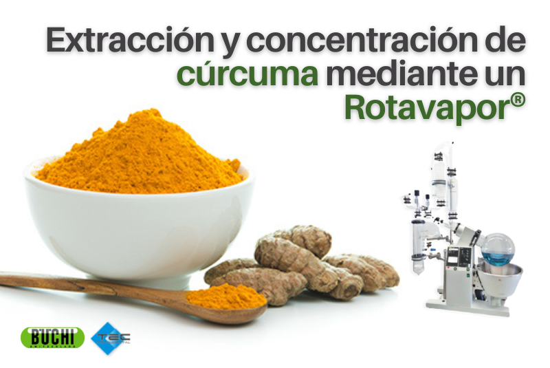 Extracción y concentración de cúrcuma mediante un Rotavapor®