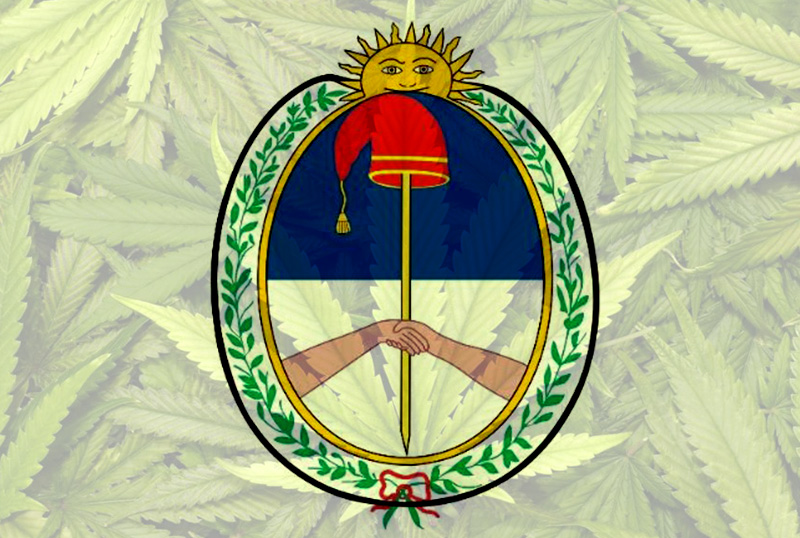 Primer centro de elaboración de cannabis medicinal del país