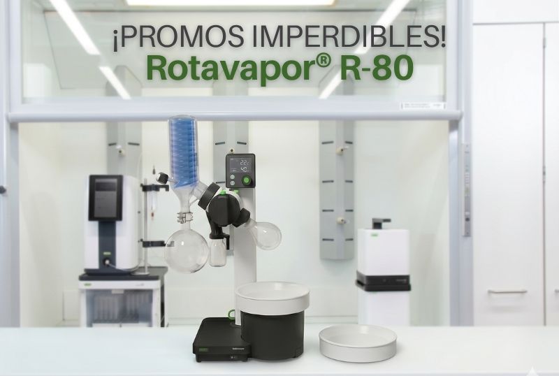 Maximizá tu mesada. Optimizá tu presupuesto.