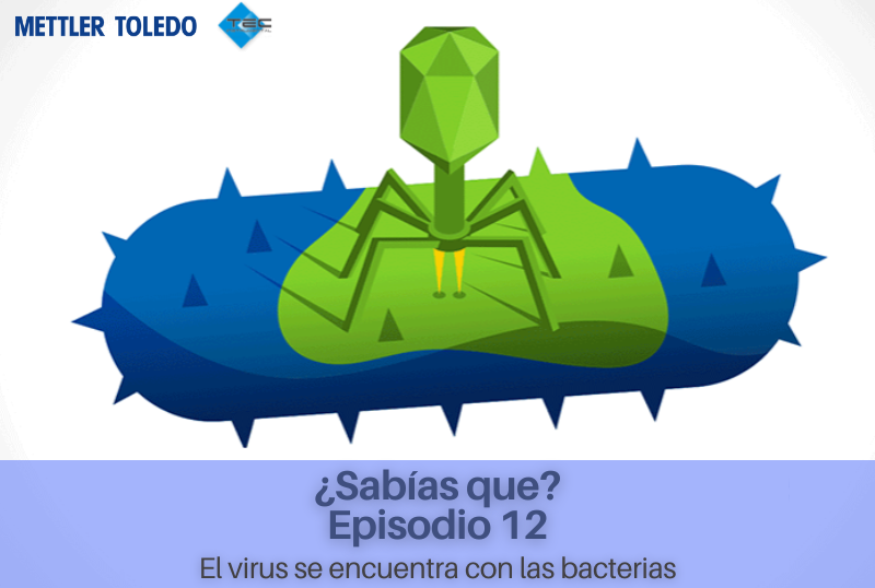 Episodio 12 - el virus se encuentra con las bacterias
